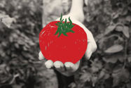 Picture of I’m a doctor. Here are 11 science-backed tips to help you eat healthier.