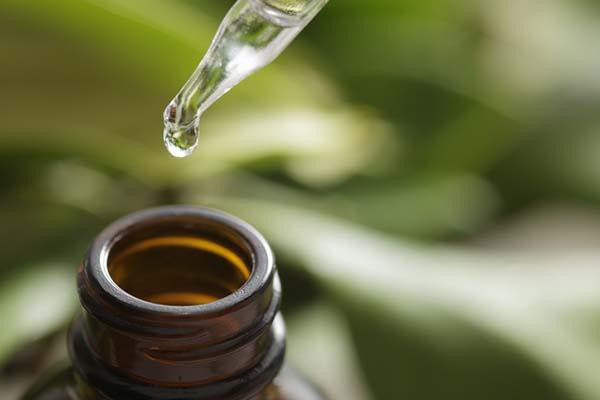 Picture of Could tea tree oil help treat acne or athlete’s foot?