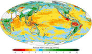 Picture of Earth Is Getting Greener, But the Oceans Are Losing Life