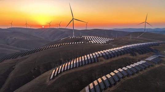 Picture of Seven feel-good science stories to restore your faith in 2025