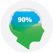 Picture of Brain Development