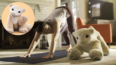 Picture of New Pet Robot Uses Local Multimodal AI to Learn and Adapt to Human Behavior
