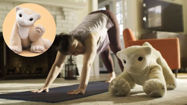 Picture of New Pet Robot Uses Local Multimodal AI to Learn and Adapt to Human Behavior